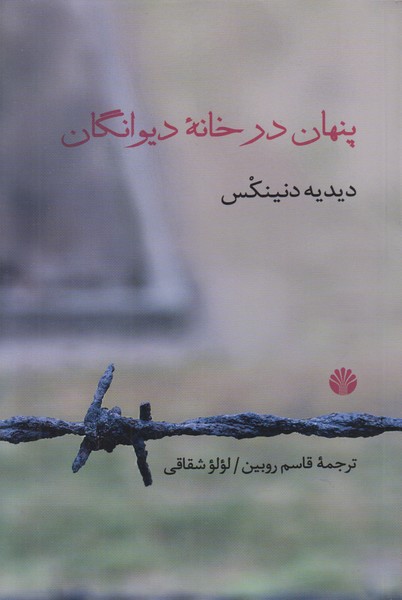 پنهان در خانه دیوانگان